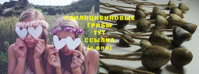 Псилоцибиновые грибы Magic Shrooms  Агидель 